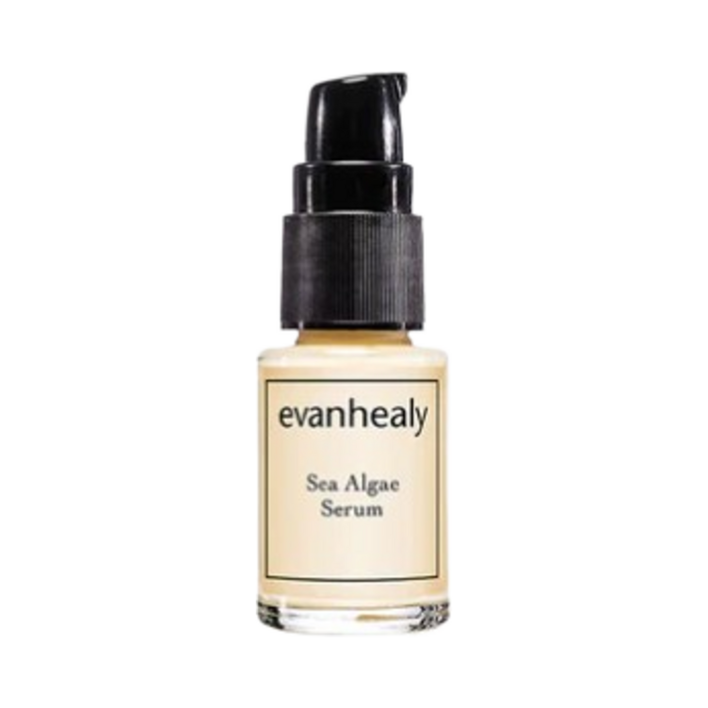 Evanhealy Sea Algae Serum