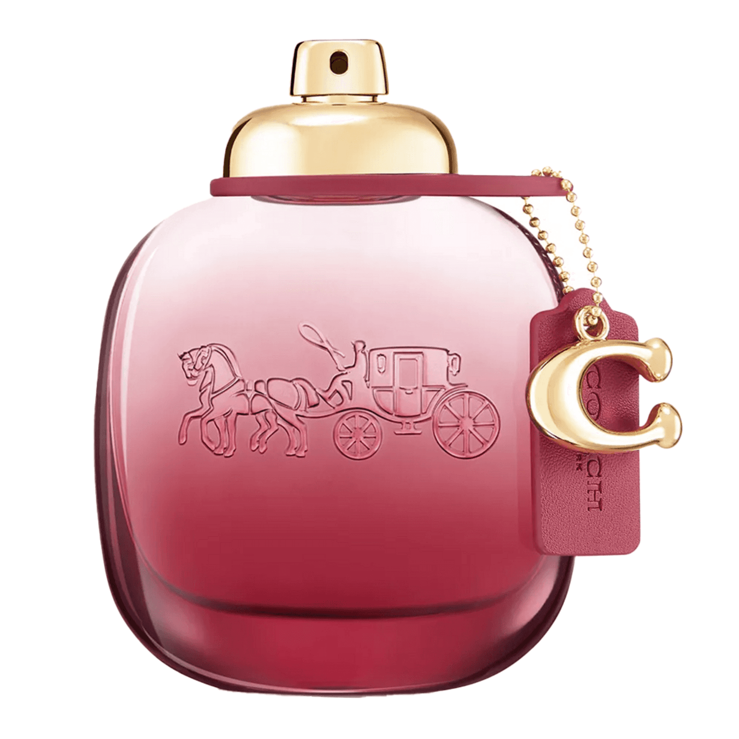 Treinador Wild Rose EDP