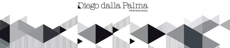 迭戈·达拉·帕尔玛（Diego Dalla Palma）专业人士